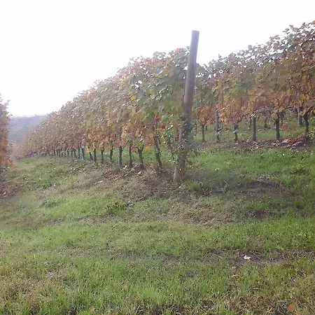 Il Ciabot Bauernhof