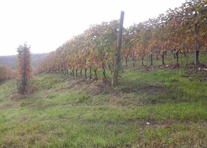 Il Ciabot Çiftlik konaklama